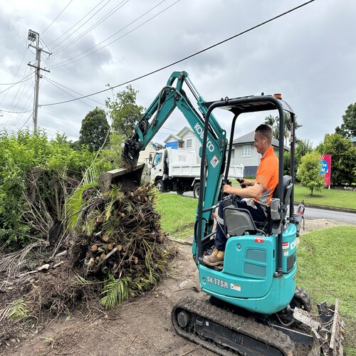 Mini excavator clearing palm roots during a landscaping and earthworks job in a Brisbane residential yard.